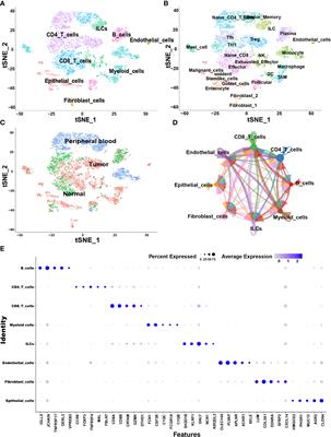 Frontiers Single Cell Transcriptome Analysis Reveals Heterogeneity